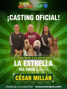 Cesar Millán abre Casting Oficial para Expo Mascotas 2026